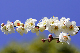 image0175