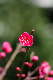 image0177