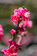 image0178