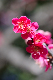 image0179