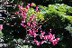 image0186