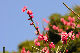 image0187