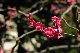 image0189
