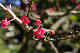 image0190