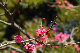 image0191