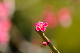 image0192