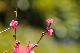 image0193