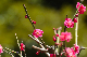 image0194