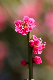 image0195