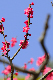image0197