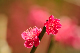 image0200