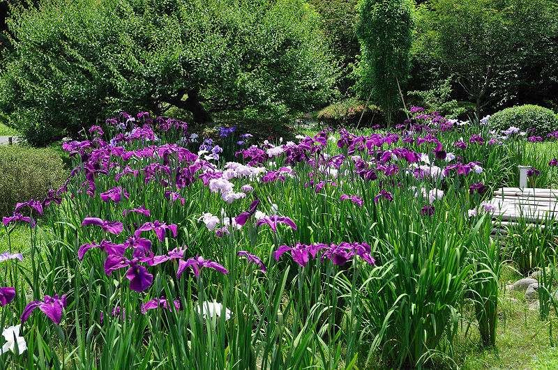 image0136