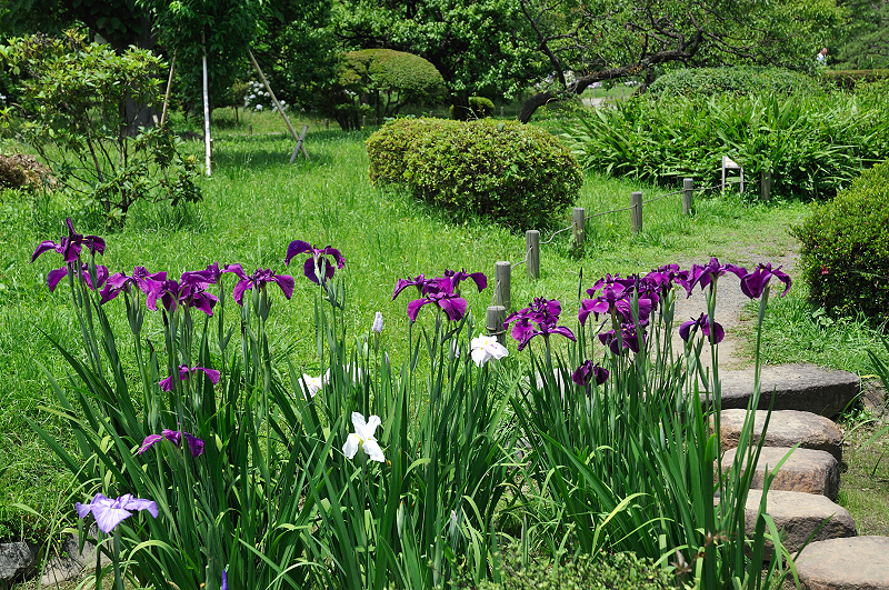 image0140