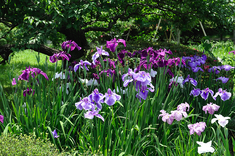 image0148