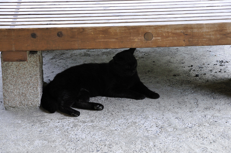image0156