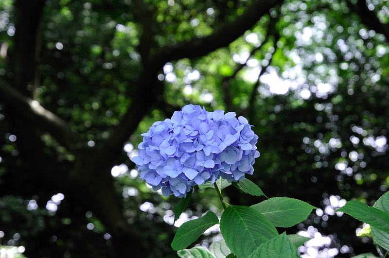 image0164
