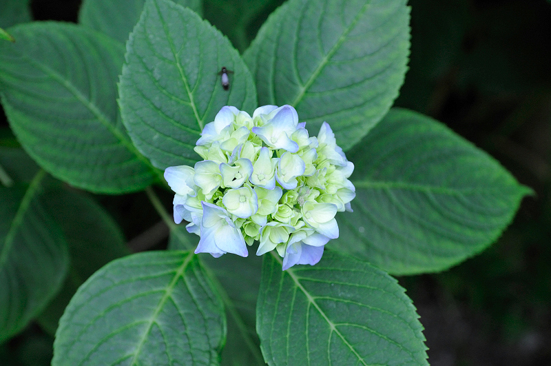 image0165