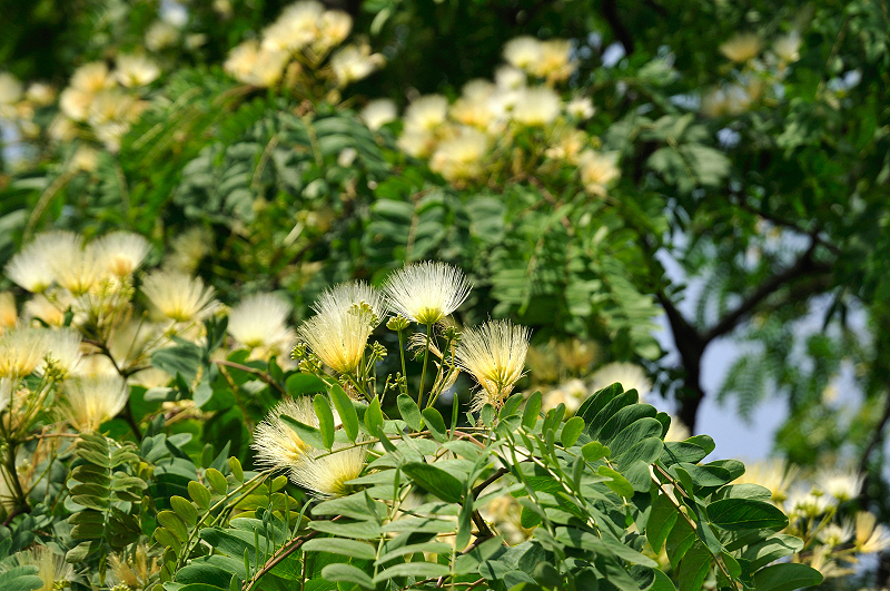 image0176