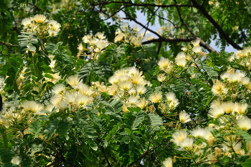 image0178