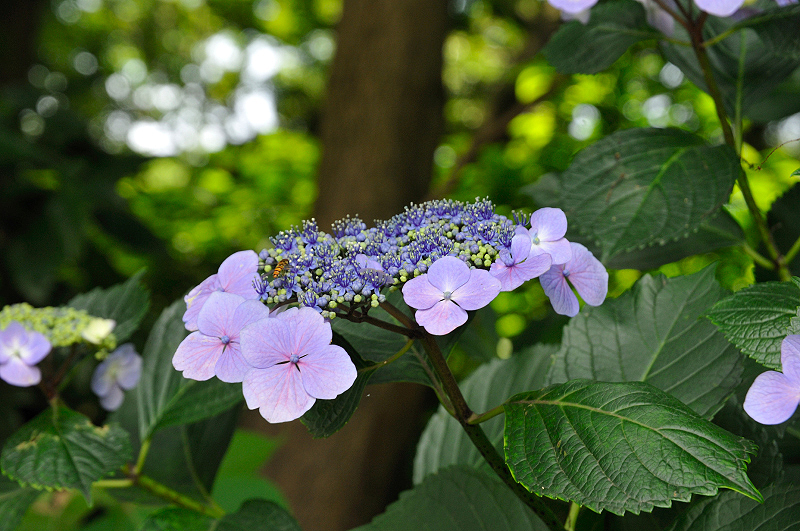 image0185