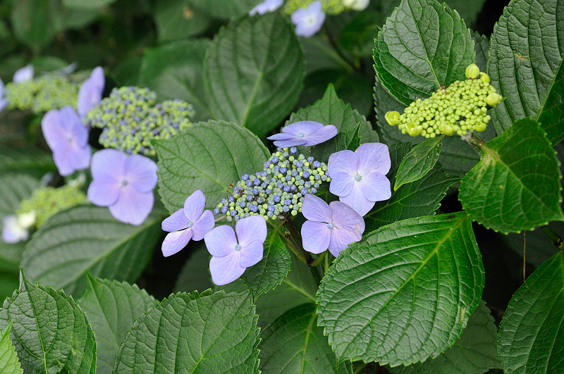 image0188
