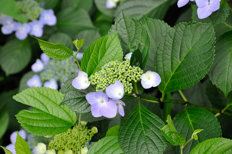 image0189