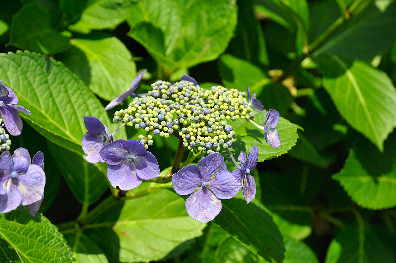 image0192