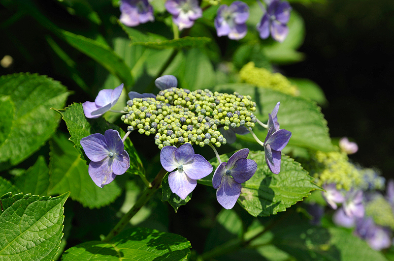 image0193