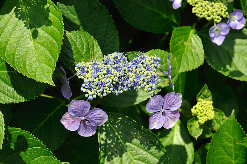 image0197