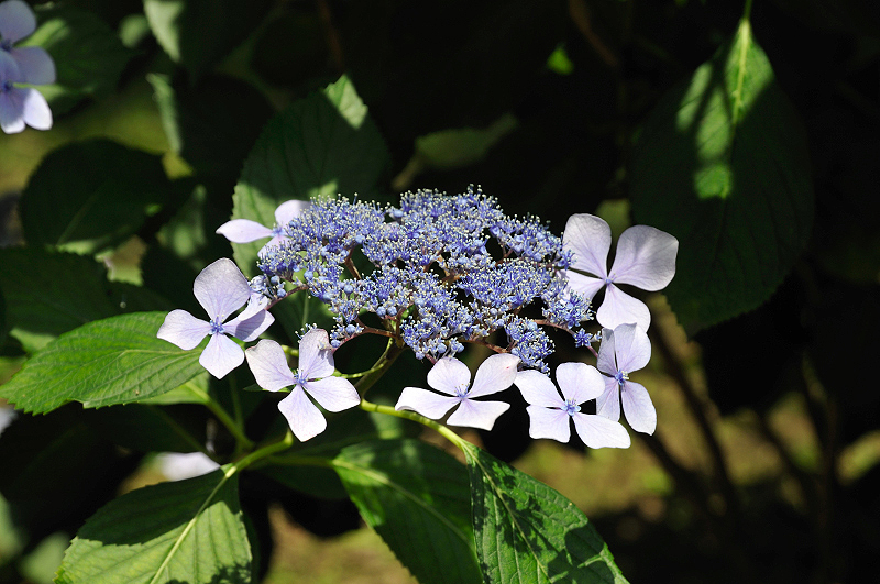 image0200