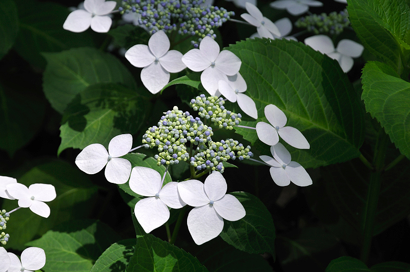 image0216