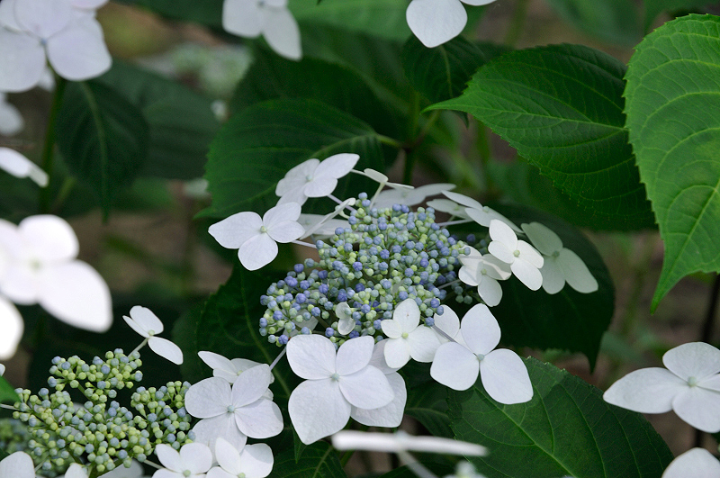 image0222