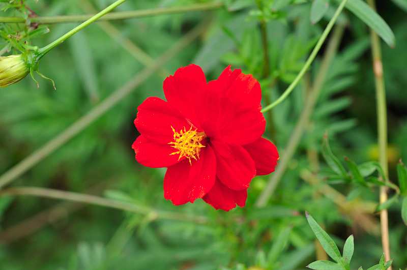 image0105
