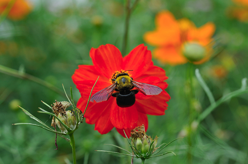 image0122