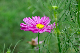 image0128