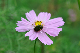 image0129