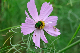 image0130