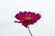 image0131