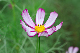 image0132