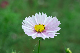 image0133