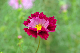 image0137