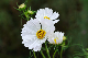 image0138