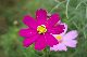 image0139
