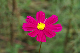 image0140