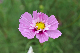 image0141