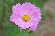 image0143