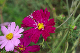 image0145