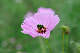 image0146
