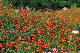 image0147