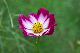image0148